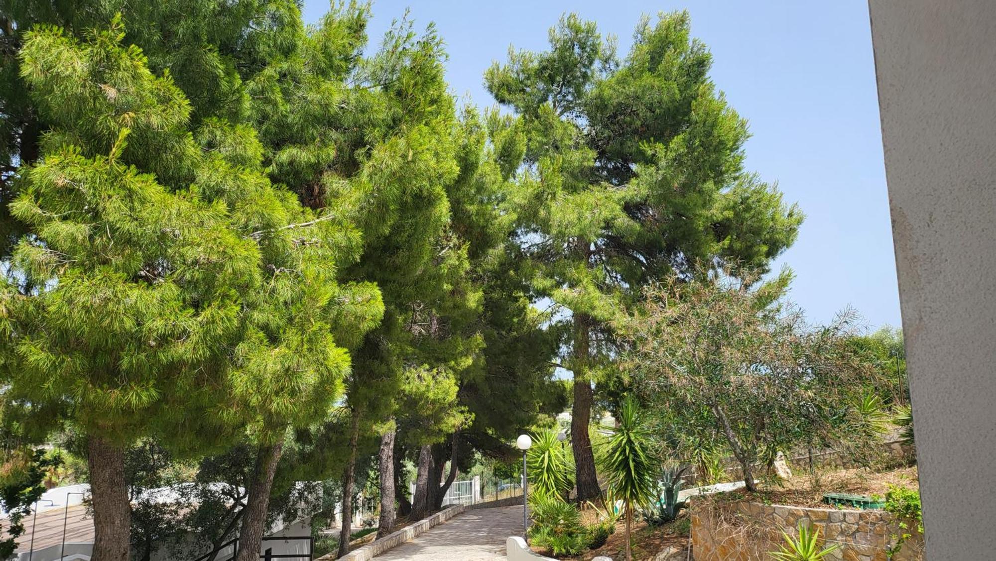 Residence Dolce Far Niente Vieste Exterior photo
